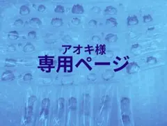 アオキ様専用ページ