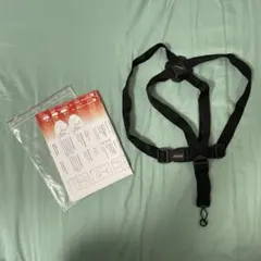 Item thumbnail for item 8aa9602a-3ece-4e83-a955-599b071ec524