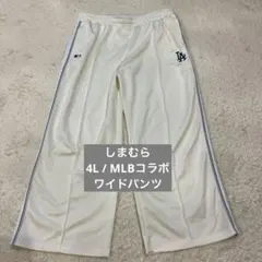 シマムラ4lサイズ