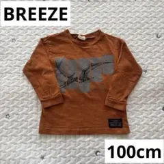 【BREEZE】ブリーズ　恐竜　長袖　Tシャツ　カットソー　ロンT 100cm