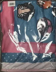 Item thumbnail for item bb2d7204-6298-4561-8a1e-f561cd614bcd