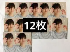 西村拓也　Myojo 厚紙 わんにゃんカード 12枚
