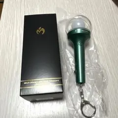 #Mrs. GREEN APPLE #ミニペンライト