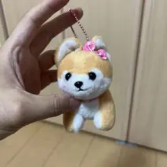 豆柴三兄弟 犬 ぬいぐるみ キーホルダー