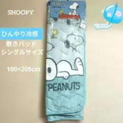 PEANUTS 接触冷感敷パッド シングルサイズ100×205cmのサムネイル