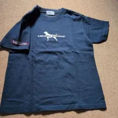 Labrador Retriever レディース　半袖Tシャツ ネイビーのサムネイル