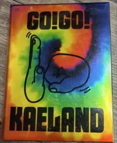 木村カエラ/GO!GO!KAELAND 2014 DVD4枚組