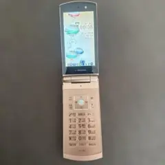 美品　docomoカラゲーF10C