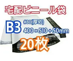 Item thumbnail for item 96873fe2-a6ea-4155-9091-451f0c032db9