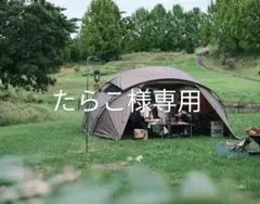 限定値下げ早い者勝ち❗️スノーピーク　ゼイズ Proプロエアー 限定値下げ早い者勝ち❗️スノーピーク ゼイズ Proプロエアー