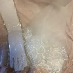 レースのベールとロングサイズのグローブ　ウエディング　や　コスプレなどに