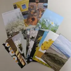 ポストカードセット 花と風景18枚セット