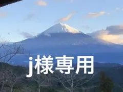 『j様専用』ゴルフ　ヘッドカバー　ウッド用　ハンドメイド