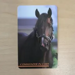 コマンダーインチーフ 競馬カード No.186