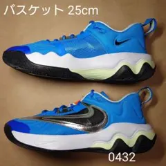 バスケット 25cm ナイキ ヤニス イモータリティ 3 EP