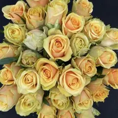 ViVi子様 リクエスト 9点 まとめ商品