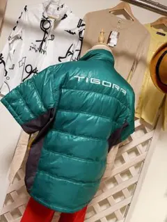 TIGORA⭐︎LL⭐︎ダウン90 % ⭐︎エメラルド買えるオトコになる！の巻