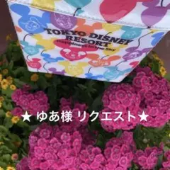 ゆあ様 リクエスト 2点 まとめ商品