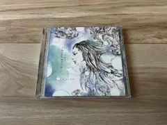 ハルカミライ センスオブワンダー