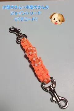 小型犬さん～中型犬さんのジョイントリード（パラコード）31