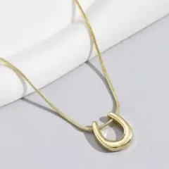 ステンレス製 ネックレス　ホースシュー ゴールド サージカルステンレス
