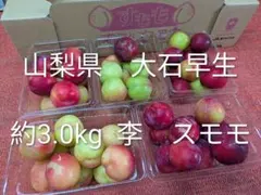 SA103山梨県産 すもも 大石早生 箱込み2kg スモモ プラム す もも 
