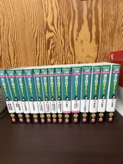 y☆問題集・過去問☆合格のLEC 公務員試験 大卒程度（13冊セット