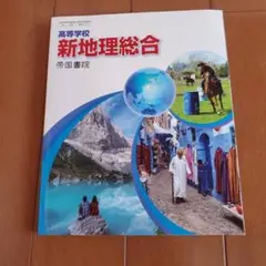 ♦︎美品♦︎ 帝国書院　文部科学省検定済教科書　高等学校地理歴史科用　新地理総合
