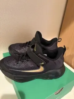 【RIRI様専用】Nike バスケットボールシューズ 黒/金