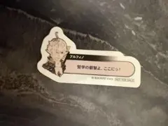 ゆずシトラス様 リクエスト 2点 まとめ商品