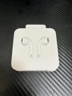Apple純正イヤホン　EarPods(USB-C)