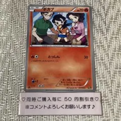 くまこくまこ　ロケット団の栄光　サーチ済みバラパック146パック 商品情報 | ポケモンカードゲーム公式ホームページ