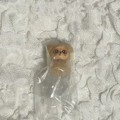 Stray Kids SKZOO めじるしアクセサリー PuppyM ①