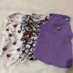 新品トップス＆インナーパンツcircuscircusサーカスサーカス - メルカリ