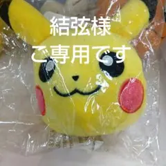 専用　ポケモン ピカチュウ ぬいぐるみ マスコット