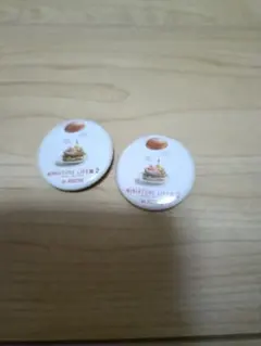 MINIATURE LIFE 2 in KOCHI 缶バッジ