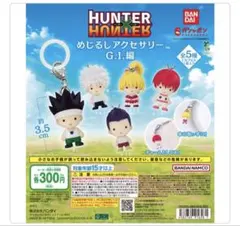 HUNTER×HUNTER めじるしアクセサリーG.I.編 コンプリートセット