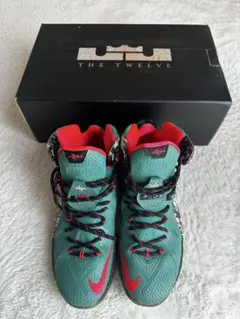 NIKE レブロン 12 アクロンブリッチ Xmas Emerald Green