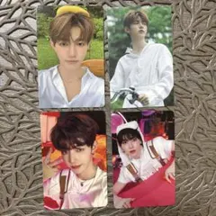 ジャンハオ　4集　トレカ 4枚