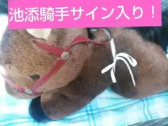 2025年最新】中山馬主協会の人気アイテム - メルカリ