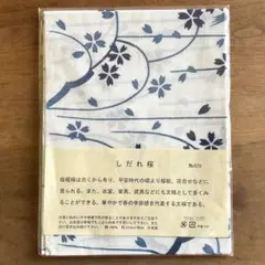 Item thumbnail for item 305b599c-df35-456a-ae22-5a1db56f166a