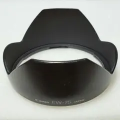 Item thumbnail for item 596f1251-57a0-42cf-94e8-f2124f9ede59