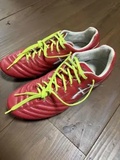 asics DS LIGHT X-FLY PRO 2 LIMITED 28cm - メルカリ