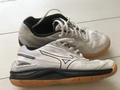 MIZUNO バレーボールシューズ 24.5cm