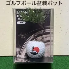 【新品】ゴルフボール盆栽ポット／アップサイクル／日本・富士山デザイン