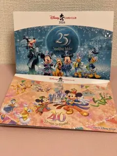ディズニーカードクラブ ピンバッジ 2個セット