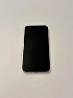 Apple iPhone 12 Pro シルバー 美品 箱 ケーブル あり 最安