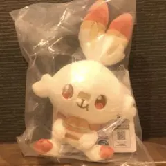 ポケモン ポケピース ヒバニー