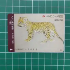 メトロカード-451