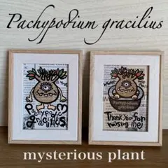 Item thumbnail for item fcef0f4f-6775-49c3-939b-2a1dd9700b5d